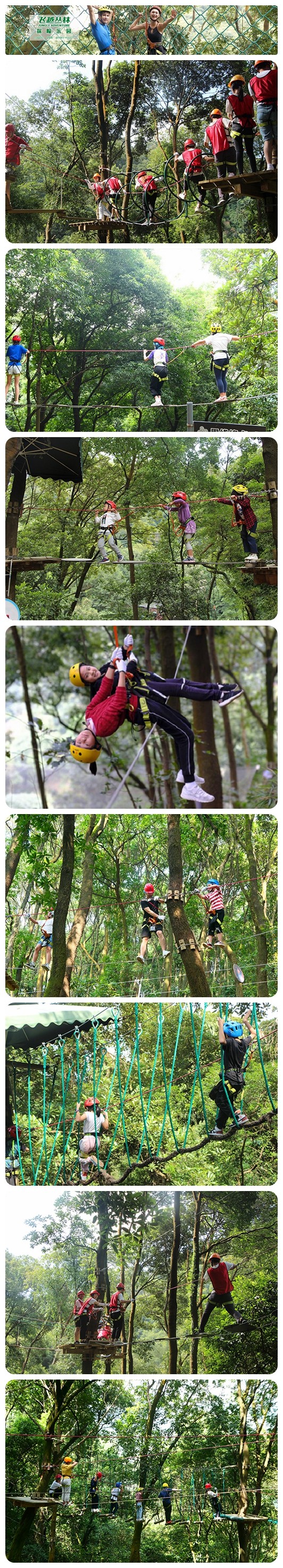 1608884614362980.jpg 2.jpg