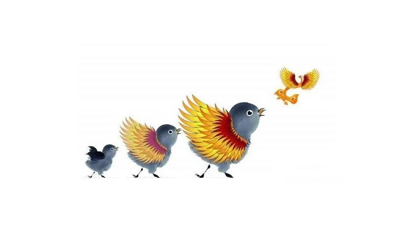 廣州團建游戲-進化論