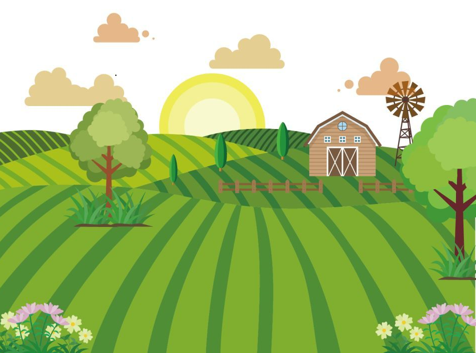 加強(qiáng)組織建設(shè)，引領(lǐng)鄉(xiāng)村發(fā)展