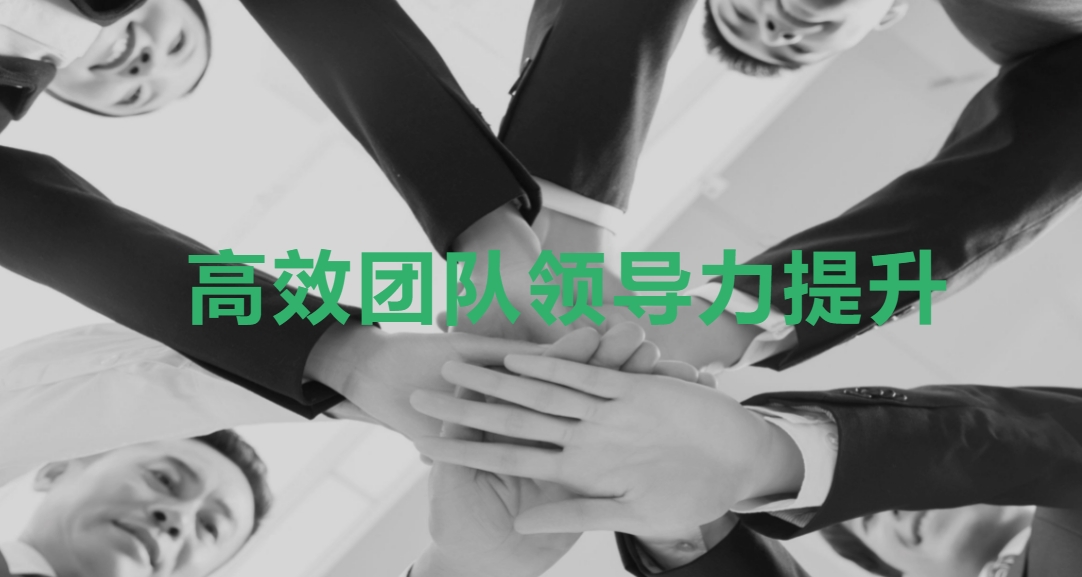 高效團(tuán)隊(duì)領(lǐng)導(dǎo)力提升
