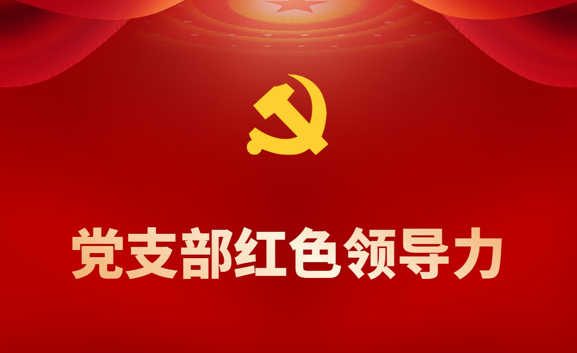 《黨支部紅色領(lǐng)導(dǎo)力》情境模擬沙盤