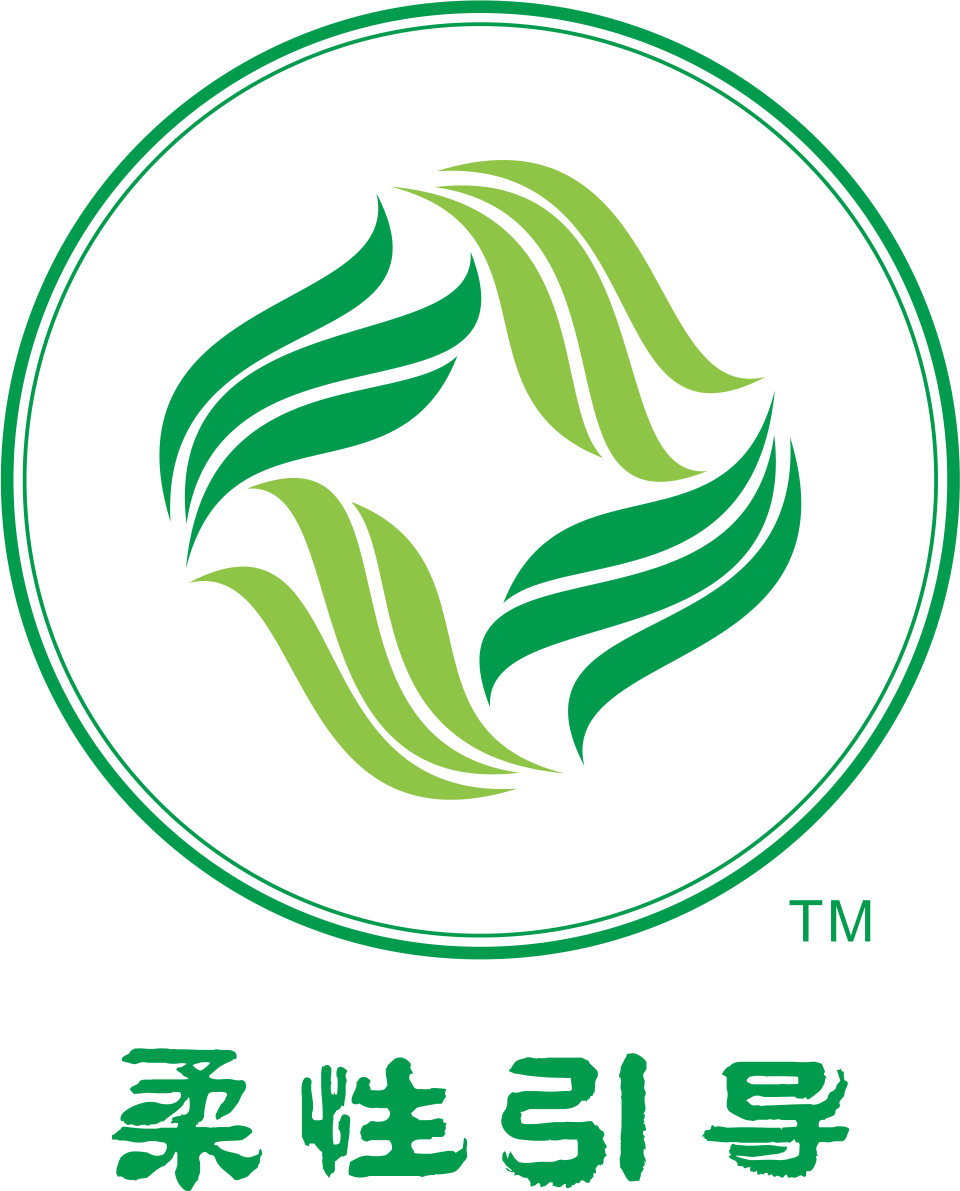 柔性引導(dǎo)-互動式教學(xué)與引導(dǎo)能力提升