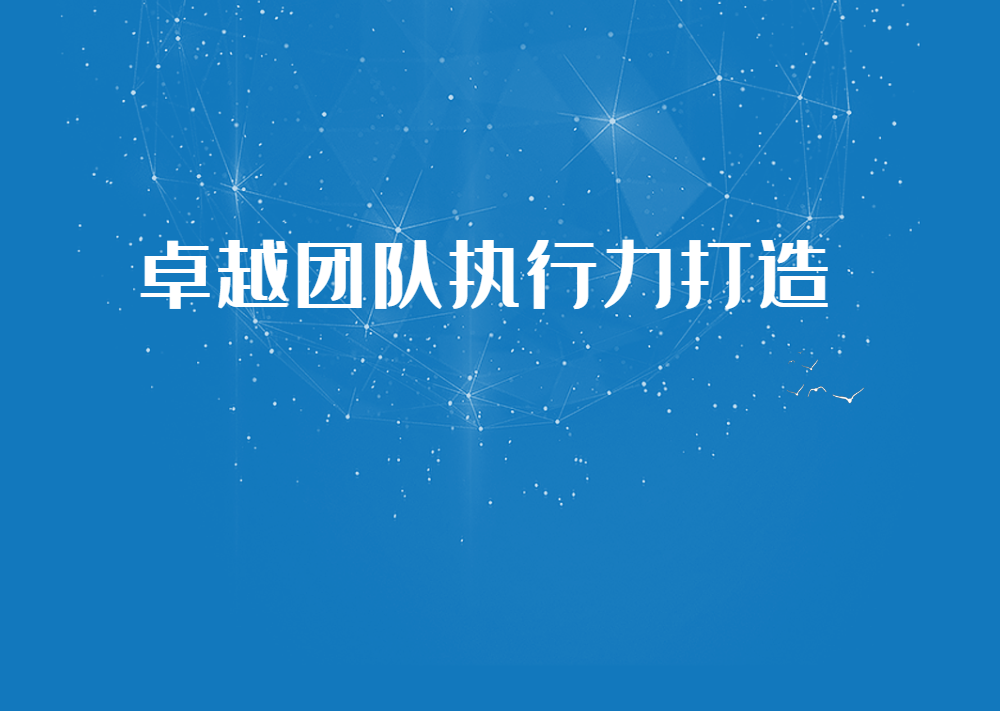 《卓越團(tuán)隊執(zhí)行力打造》沙盤
