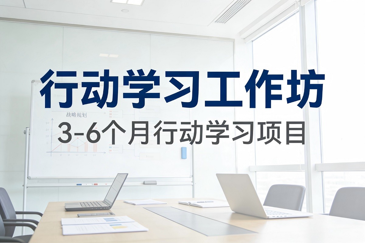 行動(dòng)學(xué)習(xí)工作坊（3-6個(gè)月行動(dòng)學(xué)習(xí)項(xiàng)目）
